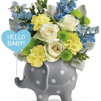 Hello Baby Boy