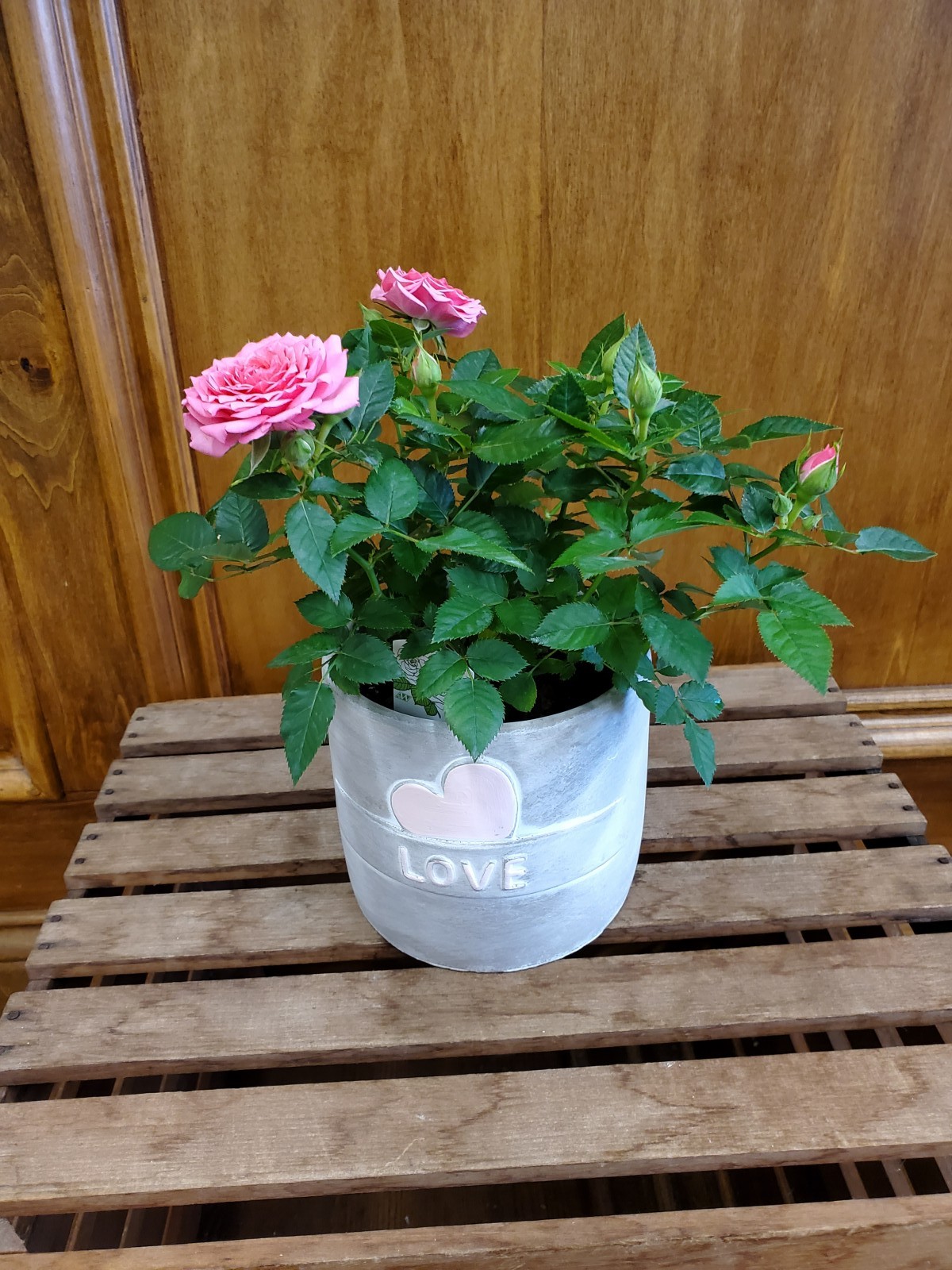 Sending Love