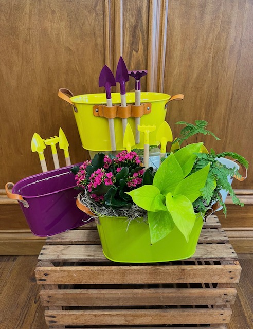 Limited Release! Featured Selection: Cam's Garden Can