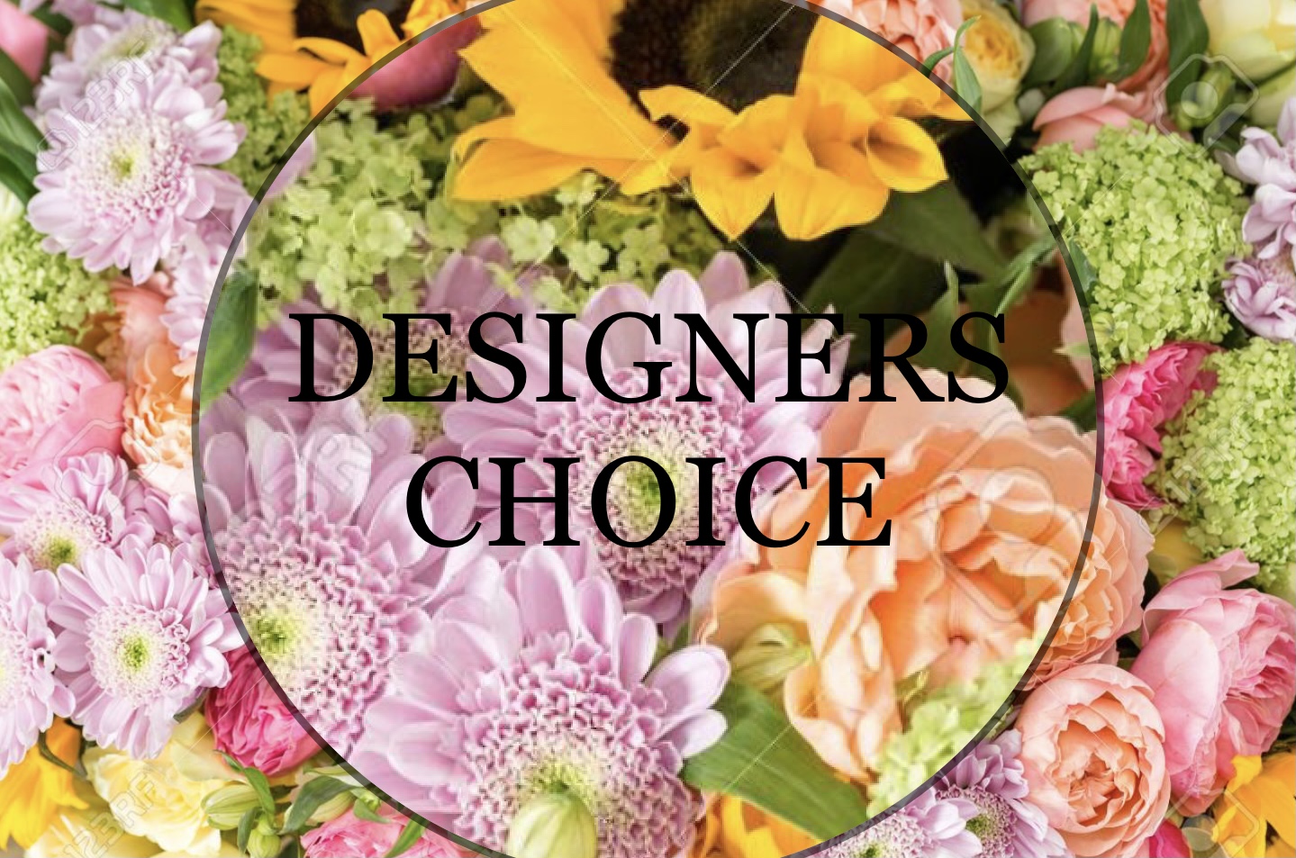 Designers Choice