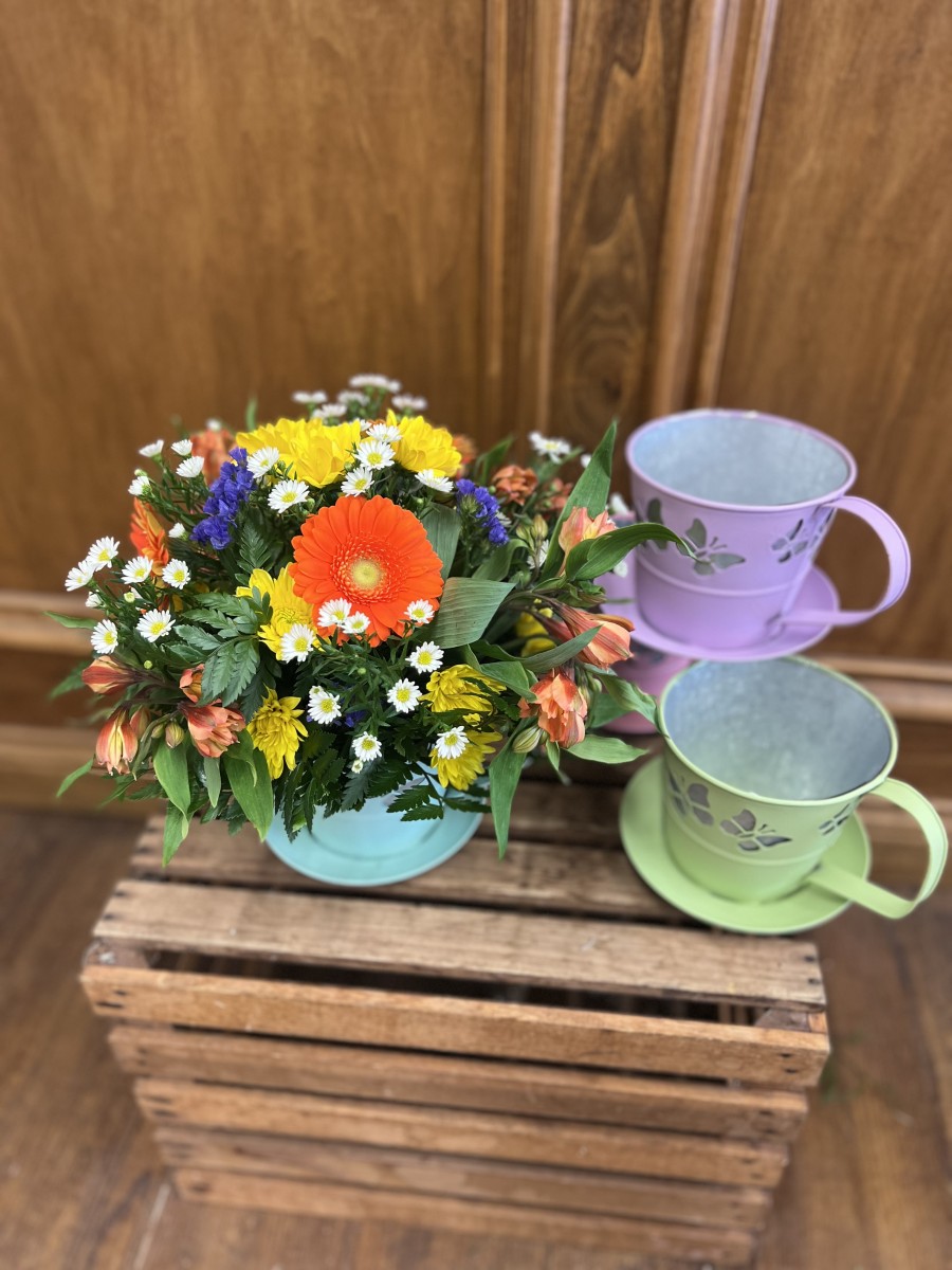 Touch of Spring