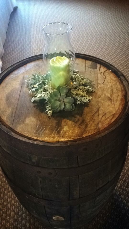 Succulent Hurricane