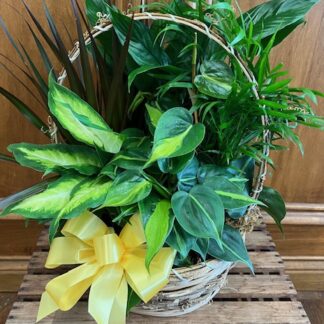 Planter LD-4