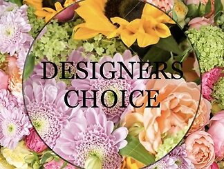 Designers Choice